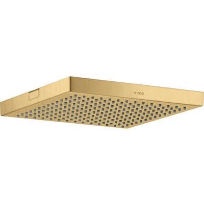Axor Showersolutions Showerhead 240 1-Jet, 2.5 GPM in - Brushed Gold Optic