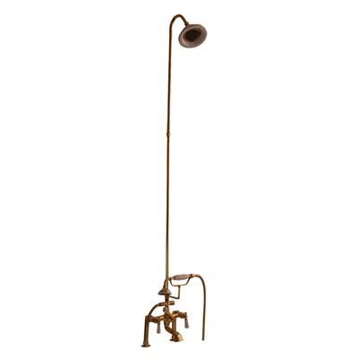 Elephant Spout, Riser, Shower head, Lvr Hdle, Polished Brass