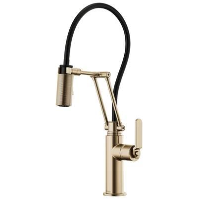 Litze Articulating Faucet with Industrial Handle