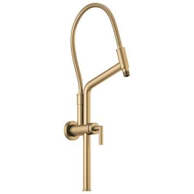 Universal Showering 10 7/16'' Linear Round Slide Bar Shower Arm And Flange by Brizo