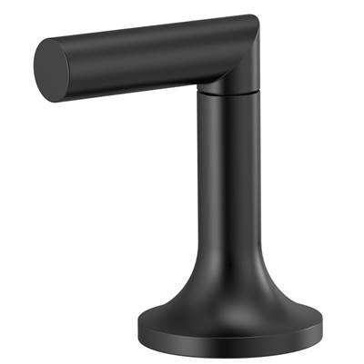 Jason Wu for BrizoE Widespread Lavatory High Lever Handles