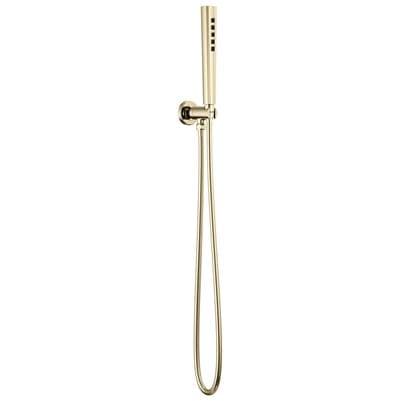 Brizo Levoire Handshower - Polished Nickel