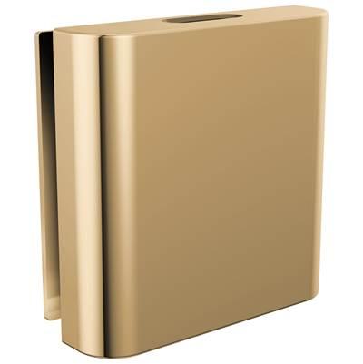 Other MystixE Classic Square Steam Head - PolishedGold by Brizo