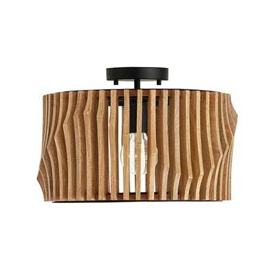 1 Light Dual Mount Semi-Flush/Pendant by Capital Lighting
