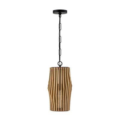 1 Light Pendant by Capital Lighting