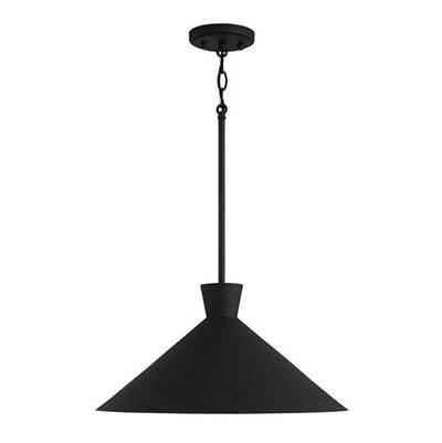 1 Light Pendant by Capital Lighting