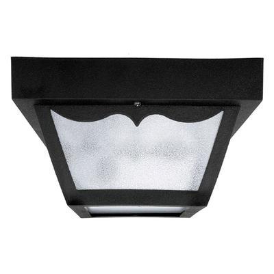 1 Light Outdoor Poly Ceiling Fixture by Capital Lighting