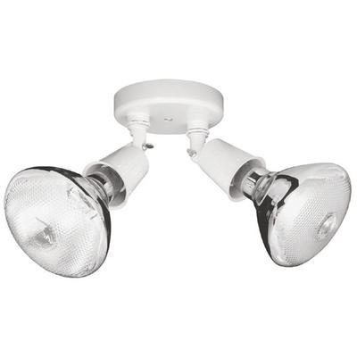 2 Light Cast Floodlight by Capital Lighting