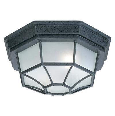 2 Light Outdoor Ceiling Fixture by Capital Lighting