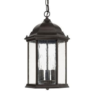 3 Light Outdoor Hanging Lantern by Capital Lighting