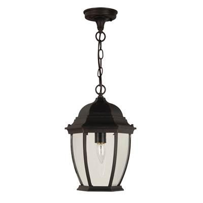 Bent Glass Cast 1 Light Outdoor Pendant in Textured Black