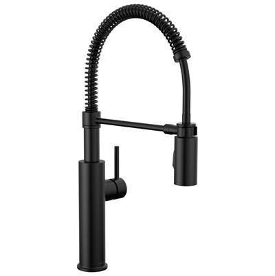 AntoniE Single-Handle Pull-Down Spring Kitchen Faucet
