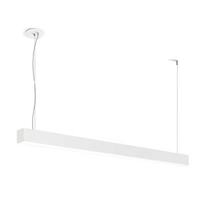 8Ft,F55,Susp,3500K,Wht by Eurofase