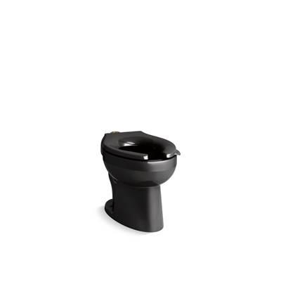 Kohler Wellcomme Ultra Flushometer Bowl | 1.0-1.6 GPF | Elongated | Bedpan Lugs - Black