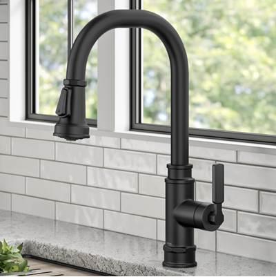 AllynE Transitional Industrial Pull-Down Single Handle Kitchen Faucet in Matte Black