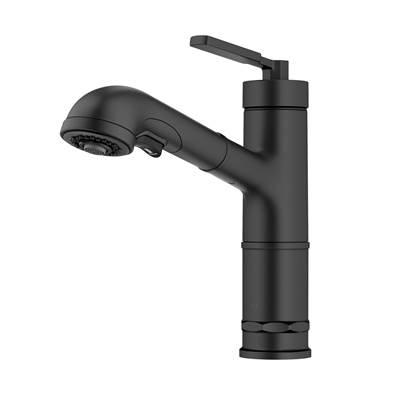 AllynE Pull-Out Single Handle Kitchen Faucet in Matte Black