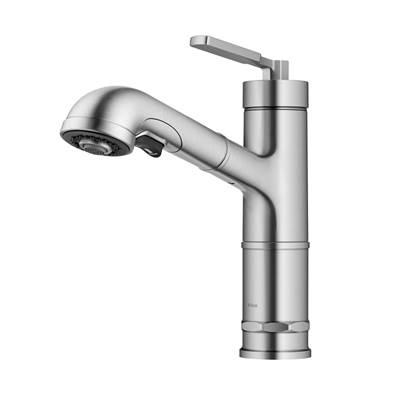 AllynE Pull-Out Single Handle Kitchen Faucet in Spot-Free Stainless Steel