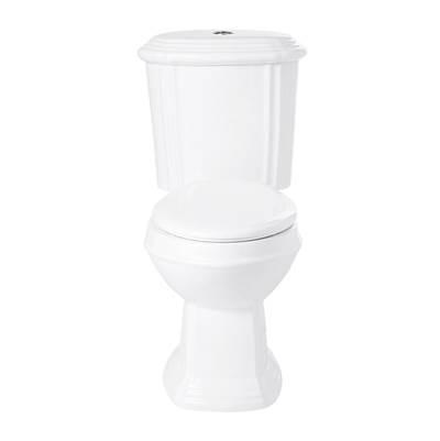 Two-Piece Toilet by Maidstone