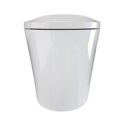 One-Piece Smart Toilet