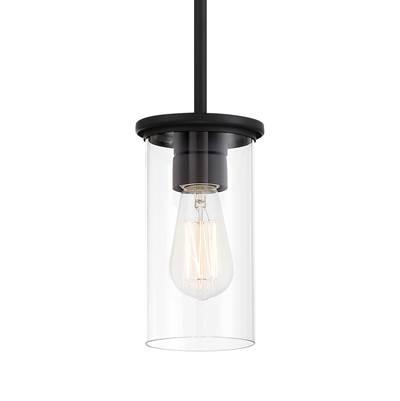 1 Light Pendant / Semi Flush