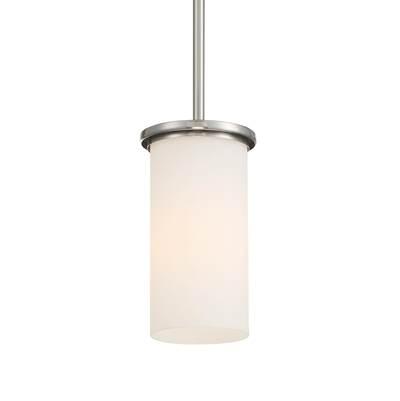 1 Light Pendant / Semi Flush