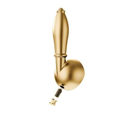 HANDLE LEVER, SCREW & PLUG BUTTON BG - Brushed Gold by Moen