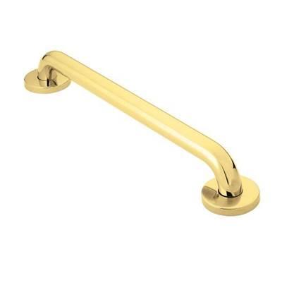 Polished Brass 24'' Concealed Screw Grab Bar by Moen