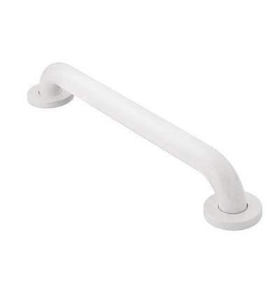Glacier 30'' Concealed Screw Grab Bar by Moen