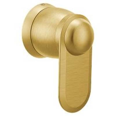 Brushed gold volume control by Moen