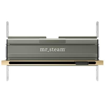 Linear 16 in. W. Steamhead with AromaTherapy Reservoir in Polished Brass by Mr. Steam