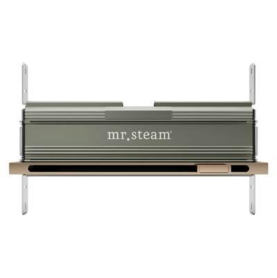 Linear 16 in. W. Steamhead with AromaTherapy Reservoir in Polished Gold by Mr. Steam