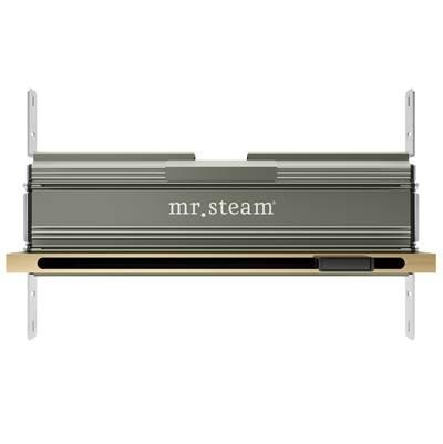 Linear 16 in. W. Steamhead with AromaTherapy Reservoir in Satin Brass by Mr. Steam