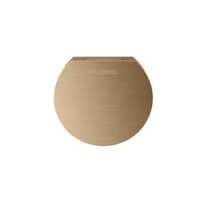 Designer 3 in. Steamhead with AromaTherapy Reservoir in Round Brushed Bronze
