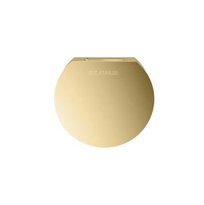 Designer 3 in. Steamhead with AromaTherapy Reservoir in Round Polished Brass