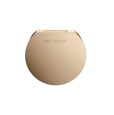 Designer 3 in. Steamhead with AromaTherapy Reservoir in Round Polished Gold by Mr. Steam