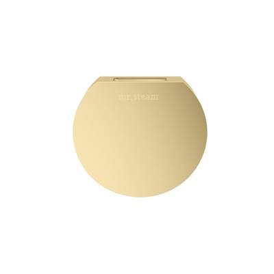 Designer 3 in. Steamhead with AromaTherapy Reservoir in Round Satin Brass