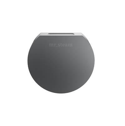 Designer 3 in. Steamhead with AromaTherapy Reservoir in Round Satin Steel