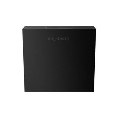 Designer 3 in. Steamhead with AromaTherapy Reservoir in Square Matte Black