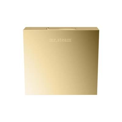 Designer 3 in. Steamhead with AromaTherapy Reservoir in Square Polished Brass