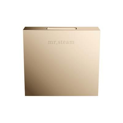 Designer 3 in. Steamhead with AromaTherapy Reservoir in Square Polished Gold