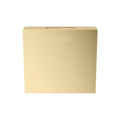 Designer 3 in. Steamhead with AromaTherapy Reservoir in Square Satin Brass