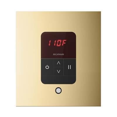 iTempo Square Steam Shower Control and Steamhead in Polished Brass