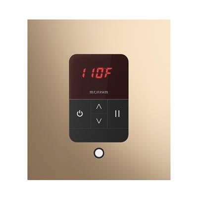 iTempo Square Steam Shower Control and Steamhead in Polished Gold by Mr. Steam