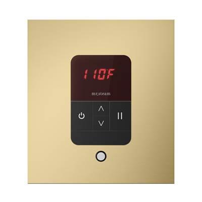 iTempo Square Steam Shower Control and Steamhead in Satin Brass