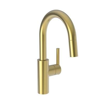 East Linear Prep/Bar Pull Down Faucet by Newport Brass
