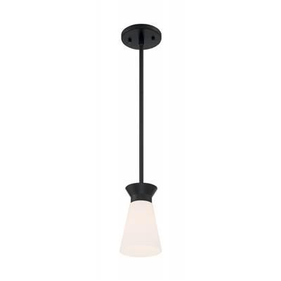 Caleta 1 Light Mini Pendant