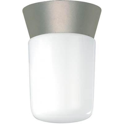 1 Light Utility Ceiling Mount