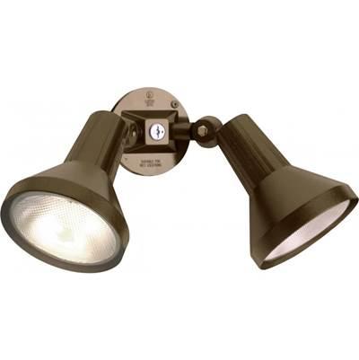 2 Light 15'' Par38 Floodlight