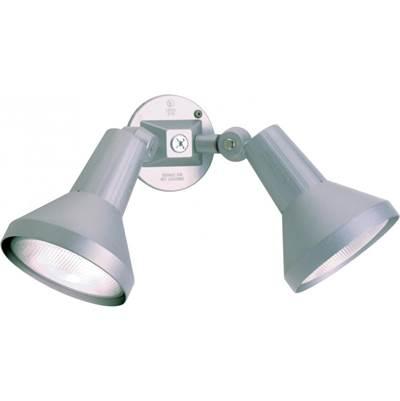 2 Light 15'' Par38 Floodlight
