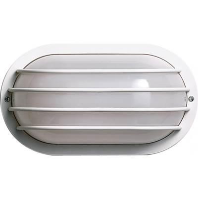 1 Light Poly Oval Cage Wall by Nuvo